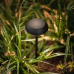 in-lite | MINI SWAY CAP